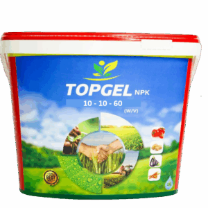 Top Gel 10 - 10 - 60 + 1MgO + T.E