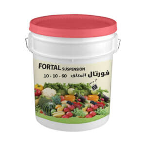 Fortal 10 - 10 - 60 +1MgO +T.E