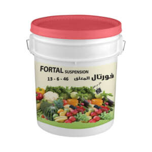 Fortal 13 - 6 - 46 + 3MgO + T.E