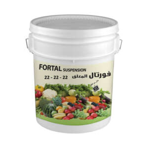 Fortal 22 - 22 - 22 + 1MgO +T.E