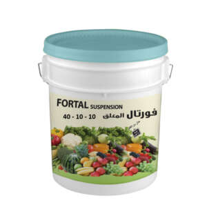 Fortal 40 - 10 - 10 + T.E