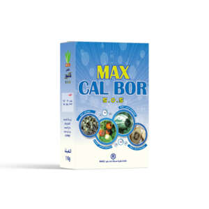 Max Cal Bor 30