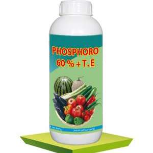 Phosphoro