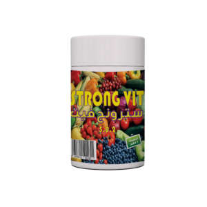 Strong Vit
