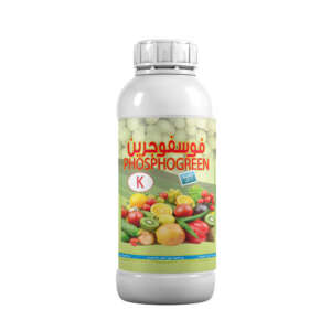 Phospho Green - K